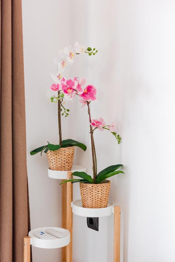 Villa Siora Agiolina อาร์กอสโตลี ภายนอก รูปภาพ